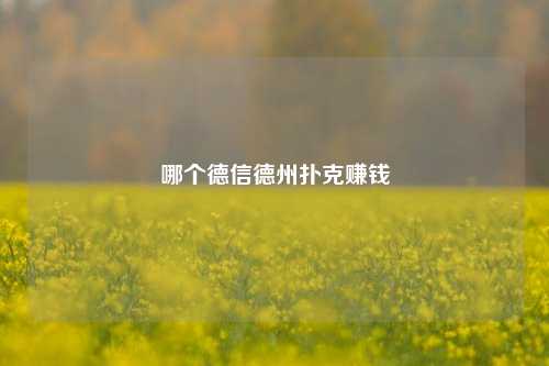 哪个德信德州扑克赚钱
