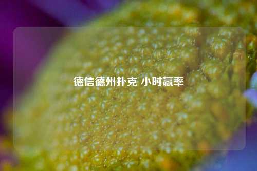 德信德州扑克 小时赢率