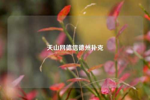 天山网德信德州扑克