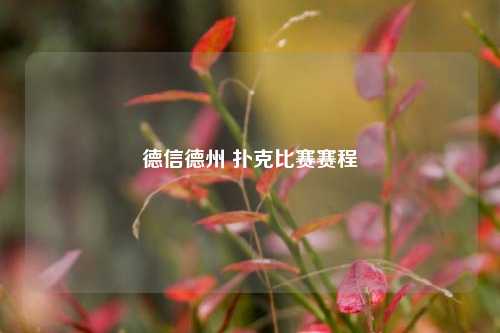 德信德州 扑克比赛赛程
