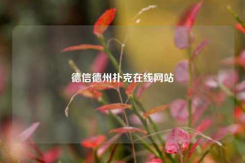 德信德州扑克在线网站