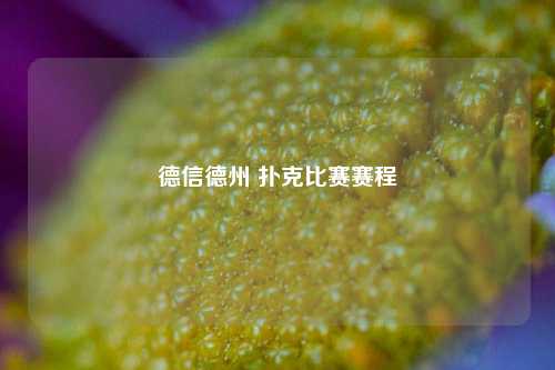 德信德州 扑克比赛赛程