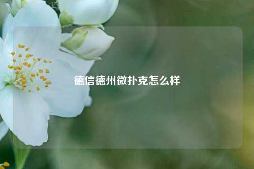 德信德州微扑克怎么样