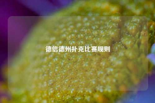 德信德州扑克比赛规则