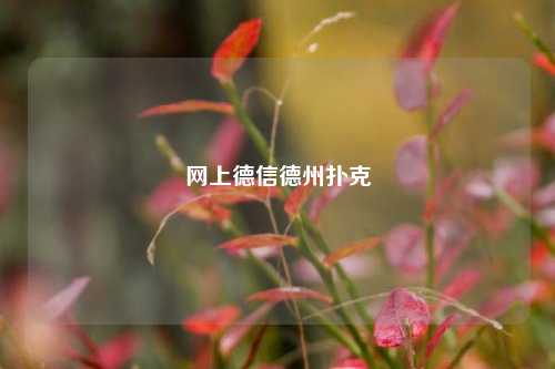 网上德信德州扑克